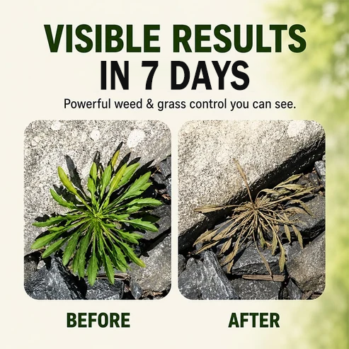 2026 SALE🎉 - Fast-Acting Natural Weed & Grass Killer Spray