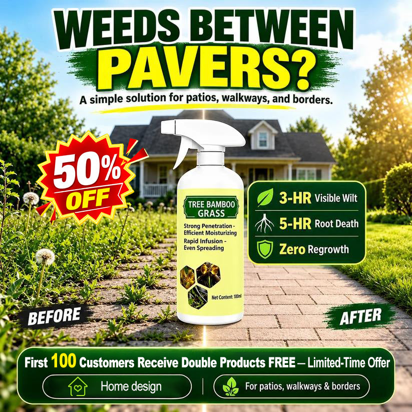 🏆 Ultimate Deal — 90% OFF Best Price • Biggest Savings