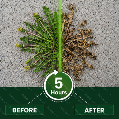 5-Hour Max Power Dual-Action Herbicide | Fast-Acting Granules for Stubborn Weeds & Brush