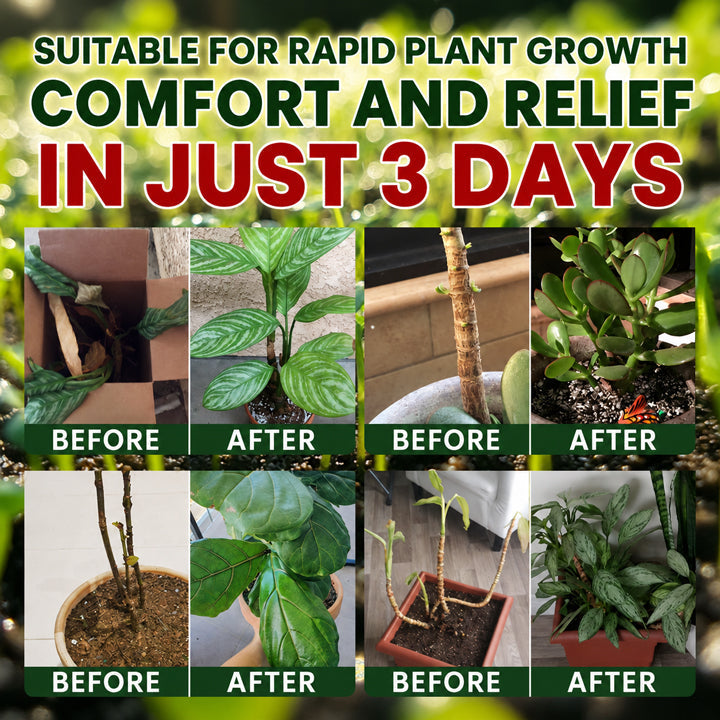 Official US Store  Universal Plant Nutrient Solution
